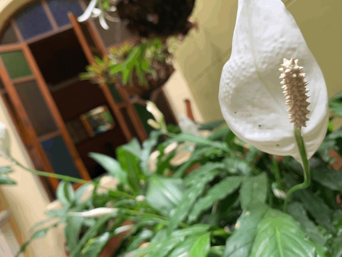 麦德林Casa Grande公寓 外观 照片